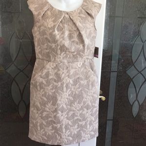 Taylor Petite dress
